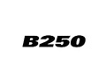 Bridgestone B250 Logo